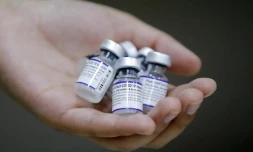   Non, la "Déclaration de Great Barrington" ne demande pas l'arrêt de la vaccination de masse