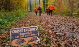   Non, un panneau "chasse en cours" n'oblige pas les promeneurs à rebrousser chemin