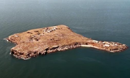 Attention à ces publications sur des soldats ukrainiens décédés en "héros" sur l'île des Serpents