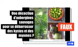   Attention, cette préparation à base d'aubergines est inefficace et peut même être dangereuse, selon des experts