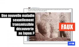   Non, une nouvelle MST, "plus grave que le sida", n&rsquo;a pas été découverte au Japon