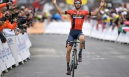 L'Italien Vincenzo Nibali remporte la 20e étape du Tour de France le 27 juillet 2019
