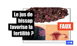   Le jus de bissap n&rsquo;a aucun effet sur la fertilité