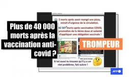   Des dizaines de milliers de morts après la vaccination ? Attention à l'interprétation trompeuse des chiffres de l'EMA