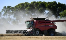   Non, une loi australienne n'interdit pas de "cultiver sa propre nourriture"