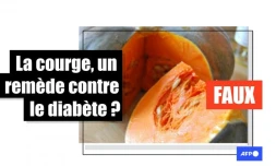   Non, le jus de la courge n&rsquo;est pas un remède contre le diabète