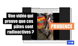   Une poudre radioactive ajoutée à des pâtes ? Attention, cette expérience ne prouve rien