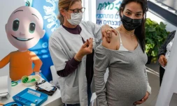   Une "épidémie de stérilité" en France due aux vaccins ? Les affirmations infondées de Christian Perronne