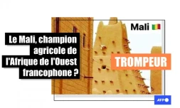 Attention à ces performances agricoles attribuées au Mali