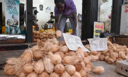   Non, le jus de noix de coco chaud ne tue pas les cellules cancéreuses