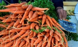   Non, le jus de carotte ne soigne pas le cancer du sein