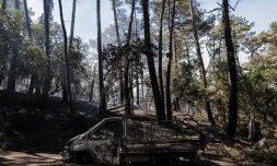   Non, un véhicule électrique n'est pas à l'origine de l'incendie de la Teste-de-Buch comme l'a affirmé Elisabeth Borne