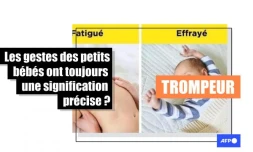   Non, les gestes, mimiques et sons des petits bébés n'ont pas signification universelle et figée
