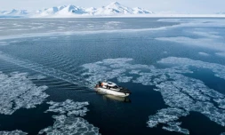   Le début d'été le plus froid en Arctique depuis 64 ans ? Attention aux conclusions de ce texte