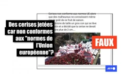   Non, les "normes de l'Union européenne" n'interdisent pas la vente de cerises de plus de 2 centimètres