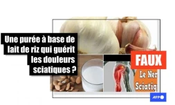  Non, cette purée à base de lait de riz ne guérit pas les douleurs sciatiques