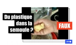   Du plastique présent dans des semoules de blé ? Attention à cette vidéo trompeuse