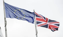 Les drapeaux de l'Union Européenne et du Royaume Unie le 22 juin 2016 à Londres