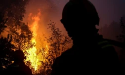 Des pompiers combattant l'incendie près de Monchique dans la région touristique de l'Algarve au Portugal regardent des arbres en flammes, le 8 oût 2018