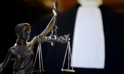 Un professeur de judo, déprimé par son futur divorce, a assuré mercredi à Evry (Essonne) qu'il "voulait sans vouloir" faire tuer sa femme