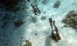 Des plongeurs au large de la cité balnéaire de Hourghada, dans l'est de l'Egypte, le 4 avril 2019