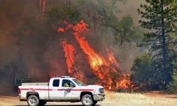 Les flammes rongent les forêts californiennes, comme près de Redding le 27 juillet 2018