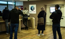 Des demandeurs d'emploi font la queue pour ĂȘtre reçus Ă PĂŽle Emploi Ă Lille, le 16 dĂ©cembre 2015
