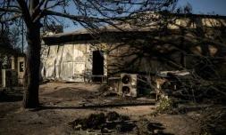 Un bouquet de fleurs devant l'usine dans laquelle est décédée une employée dans les violents incendies qui touchent, Chalandri,une ville de la banlieue nord-est d'Athènes  (Grèce), le 13 août 2024  