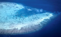 Vue aérienne prise le 4 avril 2024 d'un atoll de corail prÚs de l'ßle Lizard sur la Grande barriÚre de corail, à 270 km au nord de Cairns, en Australie