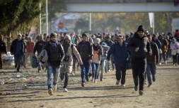 Réfugiés et migrants traversent la frontière entre la Slovenie et l'Autriche à Sentilj, le 3 novembre 2015
