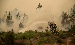 Des pompiers arrosent la lisière d'une forêt lors d'un incendie de forêt près de la ville de Lège-Cap-Ferret, en Gironde, le 25 juillet 2026