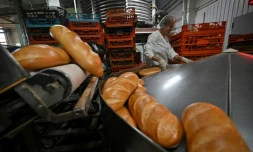 Une employée de l'usine de pain Tsar-Khlib près de Kiev vérifie la qualité des miches le 25 mai 2022