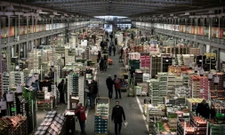 Le pavillon des fruits et légumes à Rungis (banlieue sud de Paris) le 7 décembre 2016 