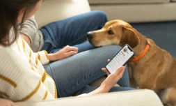 Photo fournie par Embark Veterinary le 15 avril, montrant une personne en train de consulter les résultats du test de l'ADN de son chien sur son téléphone