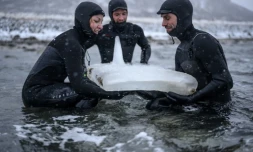 Des surfeurs suédois testent délicatement une planche en glace, près de Straumnes dans l'archipel des Lofoten, en Norvège, le 19 février 2019