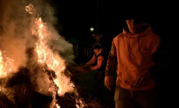 Des agriculteurs membres de la "Coordination Rurale" (CR) pendant le blocage du port de commerce de Bordeaux, le 20 novembre 2024