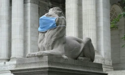 Fortitude, l'un des deux lions devant la bibliothĂšque publique de New York, la gueule couverte d'un masque pour encourager les New Yorkais Ă en porter un, le 8 juillet 2020