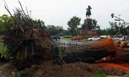 Un arbre déraciné après une tempête qui a fait au moins 16 morts et causé de nombreuses destructions dans plusieurs villes du centre de l'Argentine, le 17 décembre 2023 à Buenos Aires