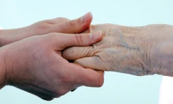 Alors que le conflit des retraites gronde encore, la majorité présidentielle défend mardi devant l'Assemblée nationale sa proposition de loi "pour bâtir la société du bien vieillir"