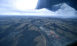 Vue aérienne des forêts calcinées sur l'île Kangourou, le 15 jnavier 2020 en Australie