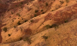 Le désert du Sahel au Burkina Faso, en janvier 2000