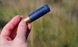 Une douille de plombs trouvée au Sambuc, près d'Arles, en Camargue, le 27 février 2025 