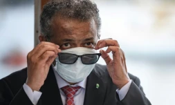 Le directeur général de l'Organisation mondiale de la santé (OMS), Tedros Adhanom Ghebreyesus, le 11 juin 2020 à GenÚve