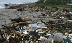 Plage d'Omoa dans le département de Cortés au Honduras, le 11 novembre 2017