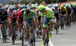 Le sprinteur slovaque Peter Sagan en tête du peloton sur la route de la 11e étape vers Montpellier, le 13 juillet 2016