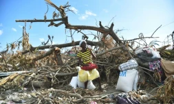 Une Haïtienne, victime de l'ouragan Matthew, vient de recevoir des rations alimentaires de l'aide humanitaire, à Roche-a-Bateaux, le 12 octobre 2016 dans les Cayes  