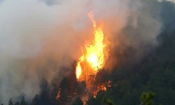 Un incendie de forêt en Corse en octobre 2017