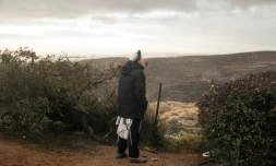 Un jeune colon israélien regarde le paysage à Amona, le 15 décembre 2016