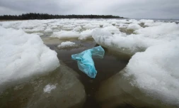 Un sac plastique dérive à la surface du golfe de Botnie, près de Pietarsaari, en Finlande, le 3 mai 2023