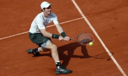L'Ecossais Andy Murray face au Français Mathias Bourgue à Roland-Garros, le 25 mai 2016